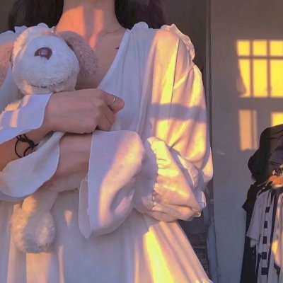 黑狐：希特勒