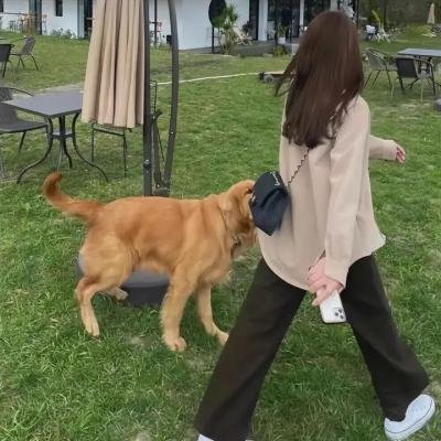 史前超人